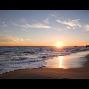 Meet your Posher, Larina